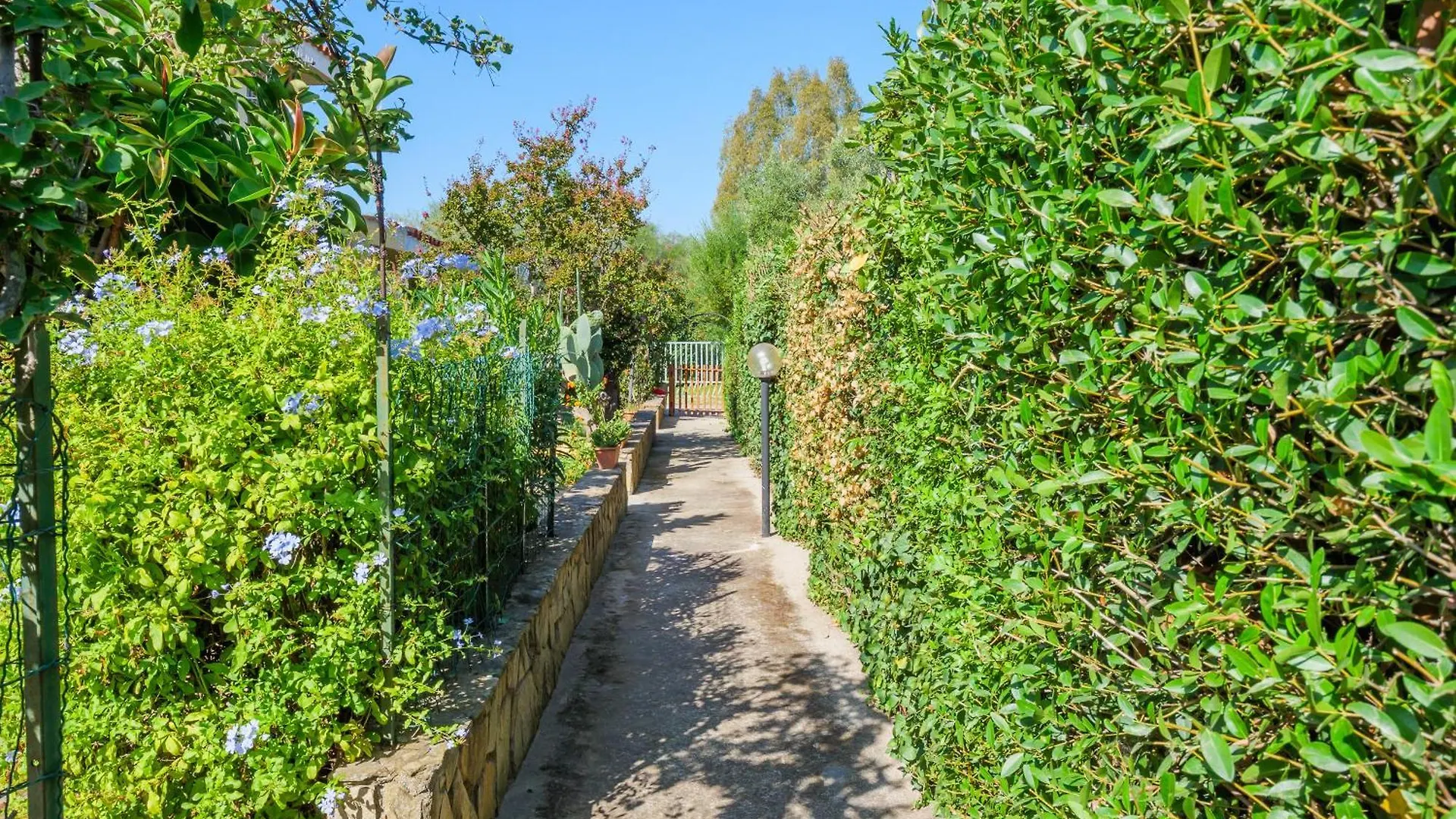 Villetta Bougainvillea San Teodoro  Appartamento